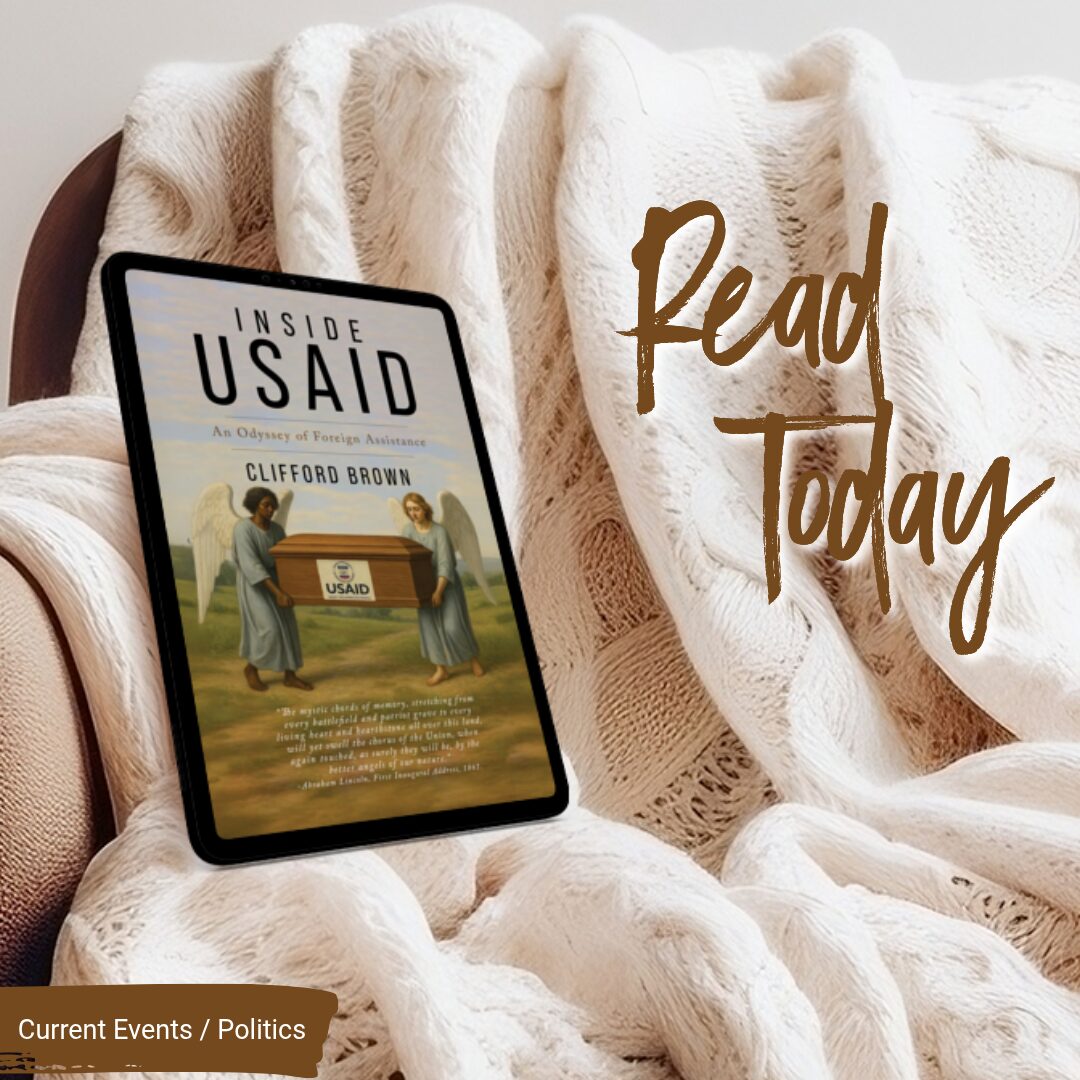 Inside USAid an Odyssey of Foreign Assistance blitz mockup