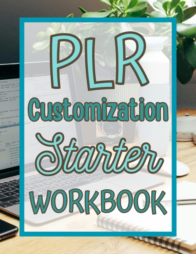 PLR Customization Starter Workbook cover