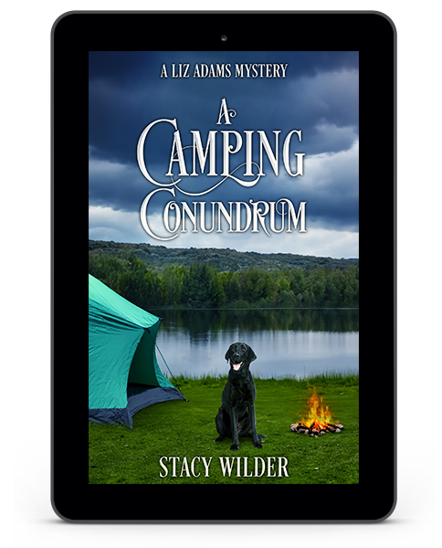 A Camping Conundrum book cover