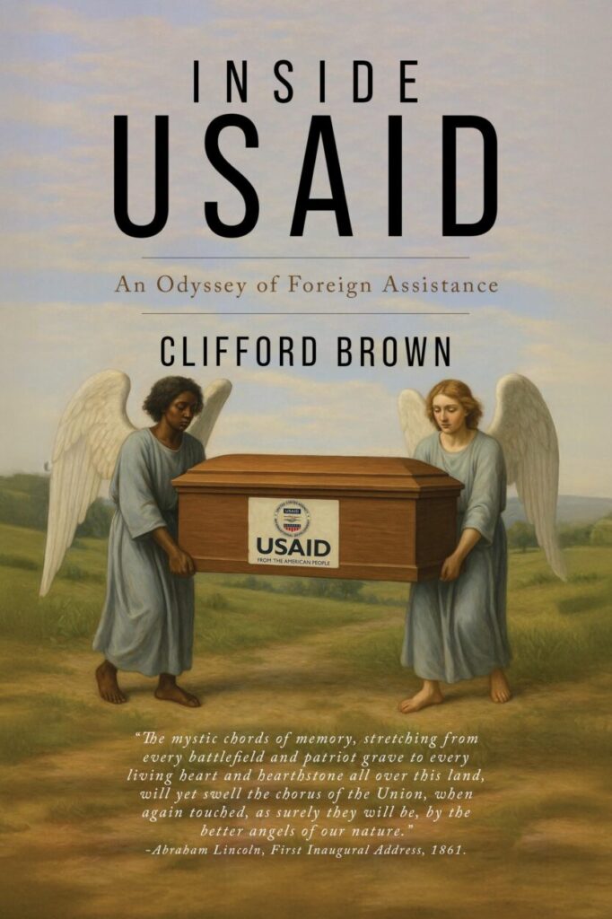Inside USAid book cover