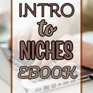 intro to niches ebook cover