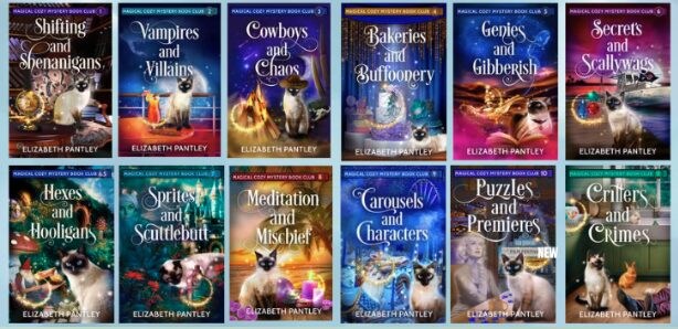 Magical Cozy Mystery Book series