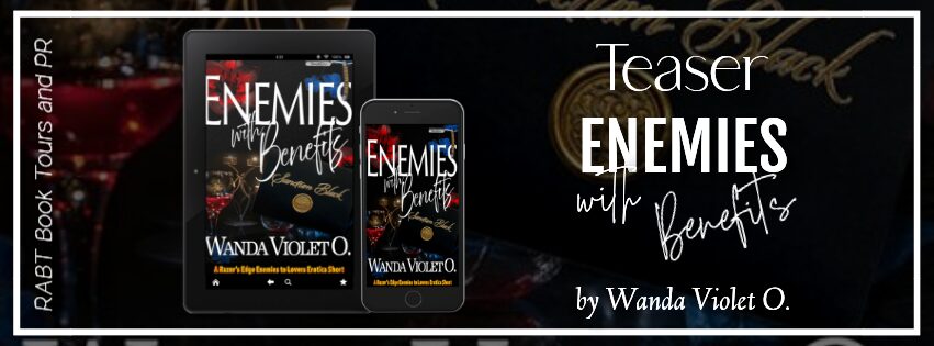 Enemies with Benefits book banner