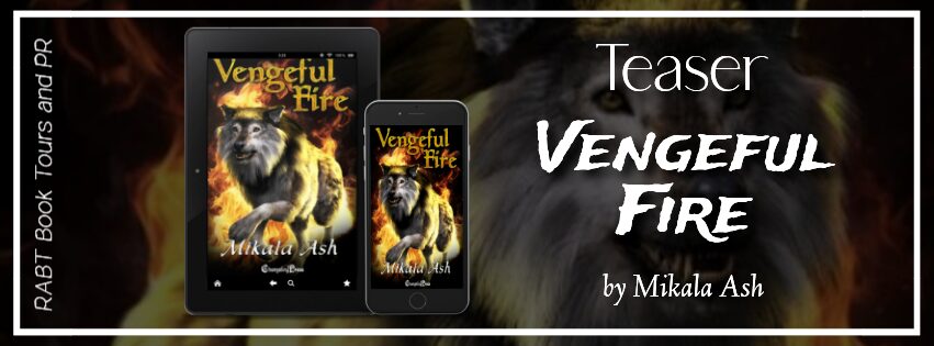 Vengeful Fire book banner