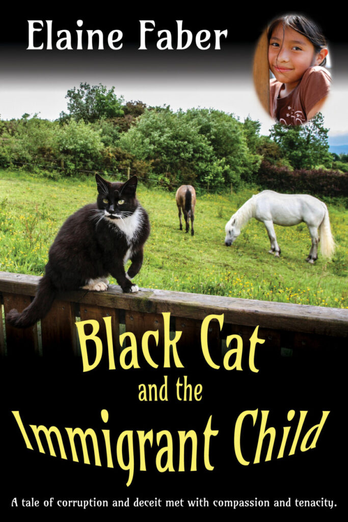 Black Cat and The Immigrant Child book cover