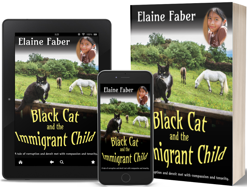 BLACK CAT AND THE IMMIGRANT CHILD book mockup