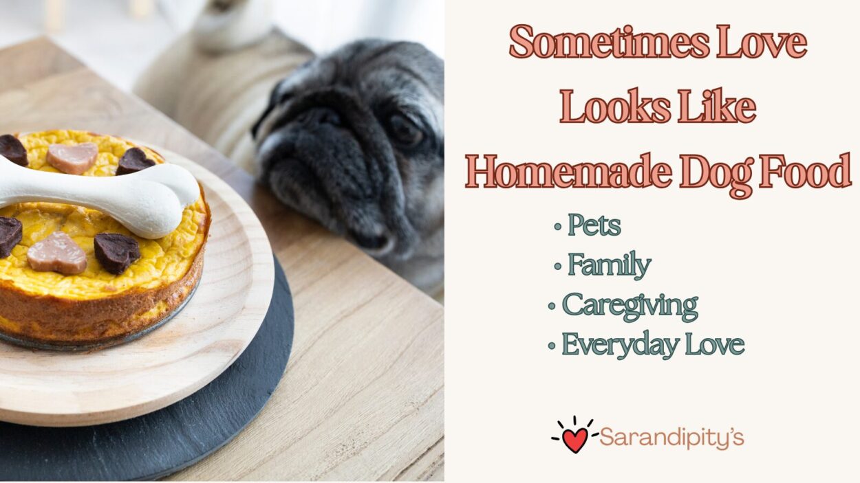 Sometimes Love Looks Like Homemade Dog Food